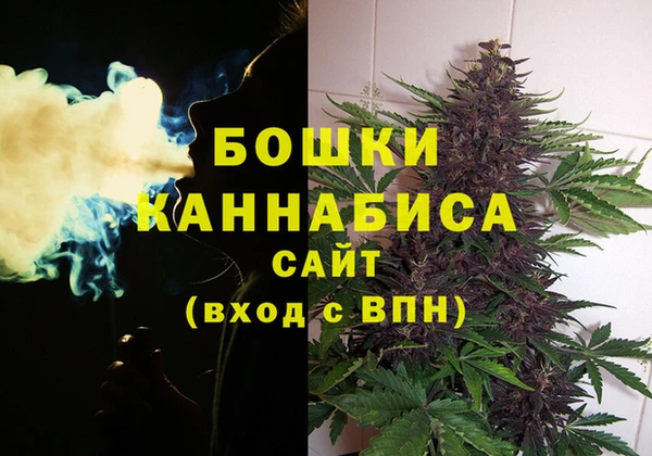 индика Горнозаводск