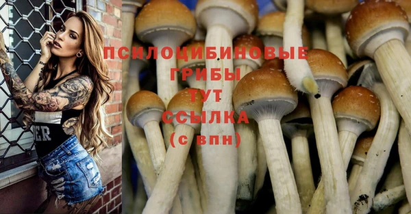 прущие крисы Володарск
