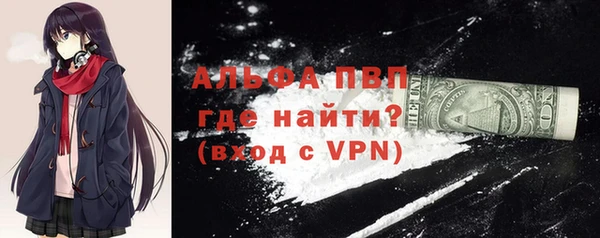 индика Горнозаводск